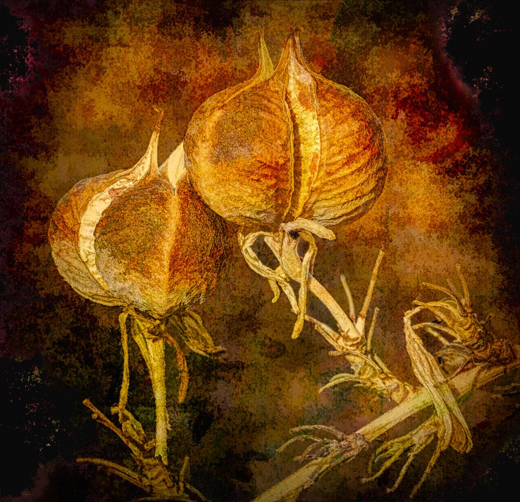 As I See It: A Photo Exhibition by Sandy Ostroff